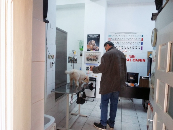 Cabinet veterinar Pedavet